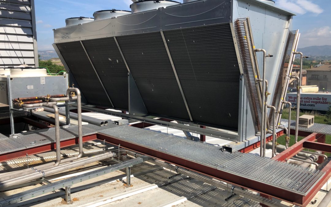 Construcció nau dedicada a l’especejament, elaboració, emmagatzematge frigorífic, distribució i comercialització de productes carnis